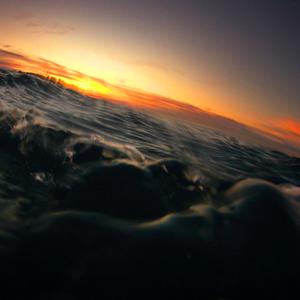 Photo: Gary Sheppard